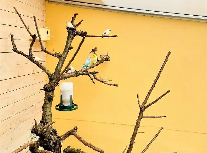 Georgenberg Hotel 3*